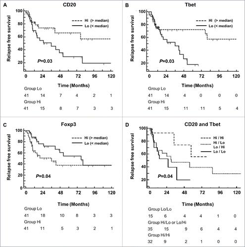 Figure 2. Correlation between immune infiltrates and gastric cancer patient survival. Kaplan–Meier curves for recurrence-free survival (RFS) stratified according to (A) the number of CD20+ B cell aggregates (< or > to the median value), (B) the number of intratumoral Tbet+ cells, (C) the number of intratumoral Foxp3+ cells, and (D) according to both CD20+ B cell aggregates and T-bet+ cells. P-values were calculated using the log-rank test.