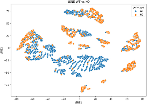 Figure 5. Dimensionality reduction by t-SNE of basecalling features (central U base quality, mean quality, mismatches, insertion and deletion count) extracted from Illumina ‘ground-truth’ sites of WT (blue) and KO (orange) CU-context reads.