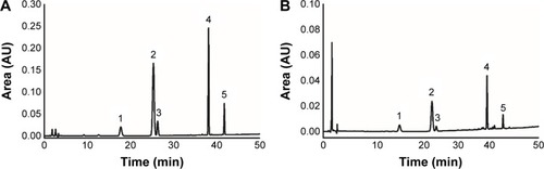 Figure 1 The HPLC chromatograms of the Panax notoginseng saponins standard (A) and the sample of batch 17 (B) in the dissolution test.