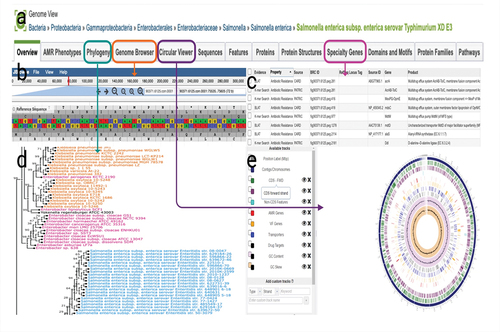 Figure 4. Information available for genomes with the Genome Annotation Service in BV-BRC. (a) The genome landing page. (b) Genome browser. (c) Specialty gene page. (d) Phylogeny.. (e) Circular view of the genome. Researchers can search for genes in their genome that are related to AMR, virulence factor.