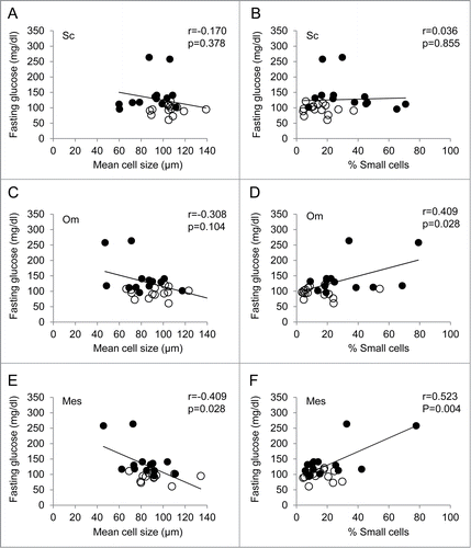 Figure 2. Correlation between fasting glucose and mean cell size and % small cells in the 3 different fat depots from diabetic (solid circles) and nondiabetic (open circles) subjects. Sc, subcutaneous fat (A, B); Om, omentum (C, D); and Mes, mesentery (E, F). n = 29 .