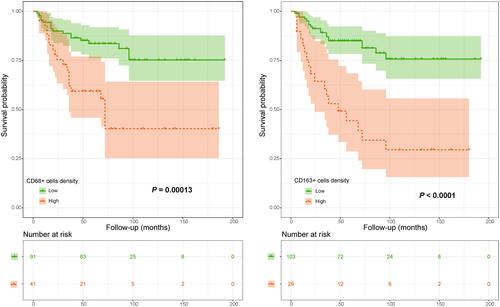 Figure 4 Kaplan–Meier curves of local recurrence-free survival of chondroblastoma patients stratified by CD68+ cell density and CD163+ cell density.