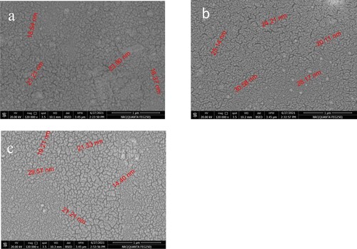 Figure 1. SEM images of samples a, b, and c.