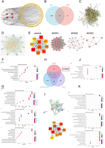 Figure 2 Network pharmacology analysis for TXYF. (A) herbal-ingredient-target relationship diagram. (B) Venn for TXYF targets and target of IBS from all databases. (C) Figure (E) Result Input STRING to draw the PPI network; (D) Figure (F) Results in Cytoscape analysis. (E) cytoHub and MODCE analysis. (F) KEGG analysis. (G) GO analysis. (H) Venn for IBS-target from different databases and TXYF targets. (I) PPI and cytoHub analysis for CHRM3. (J) CHRM3 for GO analysis. (K) KEGG analysis for CHRM3. Color depth is positively correlated with correlation, circle size is positively correlated with enrichment quantity.