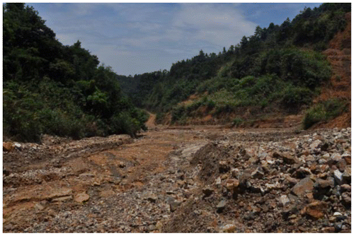 Photo 5. Deposits in the gully.