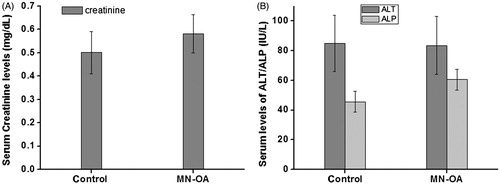 Figure 6. Biochemical analysis of serum for (A) levels of creatinine and (B) levels of ALP and ALT.