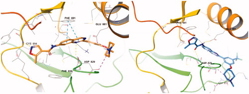 Figure 4. (Left) Compound 7n with equatorial O linkage (orange) at the active site of FLT3 (PDB: 4RT7); (right) compound 7n with axial O linkage (azure) at the active site of FLT3 (PDB: 4RT7).