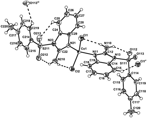 Figure 7. Coordination of the TBZA ligand around the Co(II) metal center, showing the displacement ellipsoids at the 30% probability level. The intra and intermolecular H-bonds are shown in dashed line. Symmetry operations are listed in Table 3.