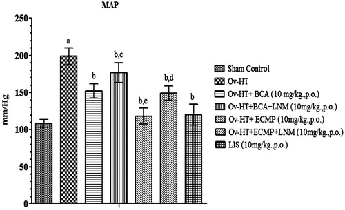 Figure 7. Effect of pharmacological interventions on mean arterial pressure in ovariectomized hypertensive rats.