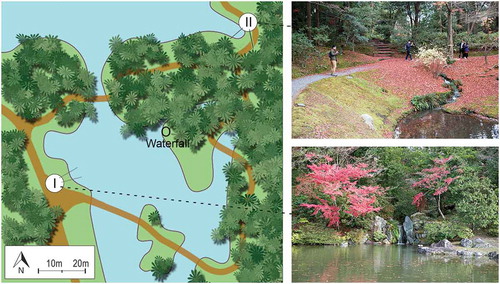 Figure 11. A plan (a) and two views (b, c) illustrating ‘Disorientation’ in Sentō Imperial Palace garden. Roman numerals indicate (I) A view overlooking a waterfall. (II) Obstructed view towards the same waterfall where a small stream adds masking sounds.