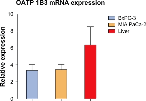 Figure 6 OATP 1B3 mRNA expression in BxPC-3, MIA PaCa-2 cancer cell lines and in human liver. Values are expressed as n-fold difference to the calibrator (pooled from the human tissue samples and cell lines) taken as value 1.