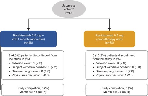 Figure 2 Randomization and patient disposition in the Japanese cohort.