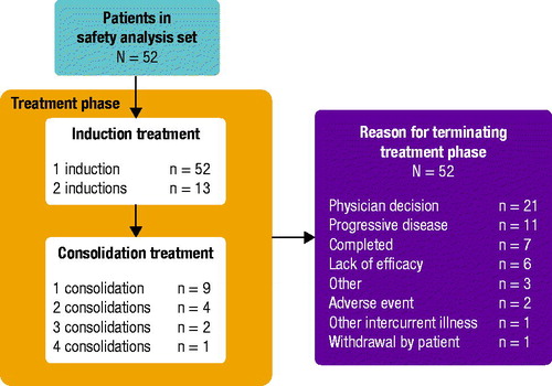 Figure 1. Patient disposition.