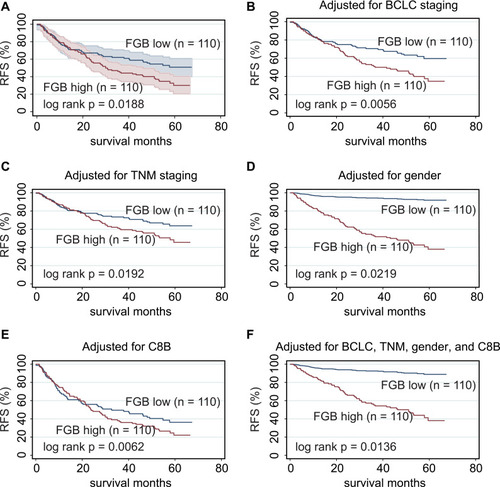 Figure 4 Kapan–Meier plot showed that high FGB expression was associated with worse RFS in HBV-related HCC patients (p = 0.0188, (A)); high levels of FGB were significantly correlated with unfavorable RFS in HBV-related HCC patients, after adjusting BCLC staging (p = 0056, (B), TNM staging (p = 0.0192, (C), gender (p = 0.0219, (D), and C8B expression (p = 0.0062, (E); even adjusted by BCLC, TNM, gender, and C8B levels, FGB upregulation also contributed to unfavorable RFS in this population (p = 0.0136, (F)).