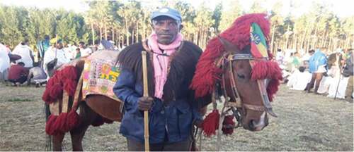 Figure 8. A horseman with back lofisa