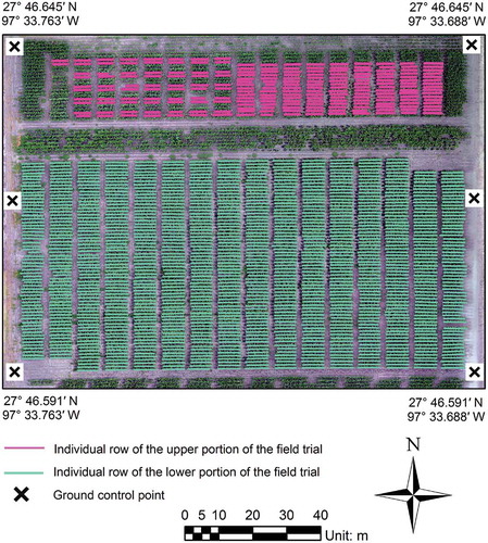 Figure 1. The experimental maize field trial located at the Texas A&M AgriLife Research and Extension Centre in Corpus Christi, Texas.