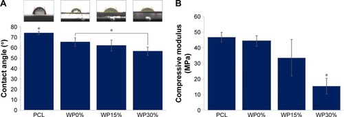 Figure 2 (A) Contact angle and (B) compressive modulus of scaffolds (n≥3).Note: *P<0.05.Abbreviations: PCL, polycaprolactone; WP, wheat protein.