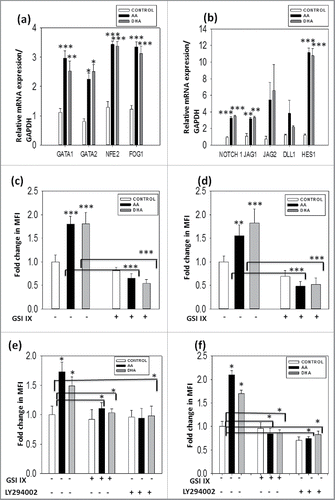 Figure 6. Presence of AA/DHA in cultures enhances MK specific transcription factors and modulates Notch signaling - Upregulation of MK specific transcription factor and notch signaling in AA/ DHA cultured cells. Gene expression profile shows higher expression of (A) GATA 1, GATA2, NFE-2 and FOG-1 and (B) Notch1, Jagged 1, 2, DLL1 and Hes 1 for cells cultured in presence of AA/DHA as compared with control. Immunofluoroscence study was performed for (C) NICD (D) Hes1, (E) AKT and (F) P-AKT with CD41 in the absence and presence of inhibitors GSIIX and LY294002. Images were analyzed and MFI was calculated for 10 random fields by Image J software.