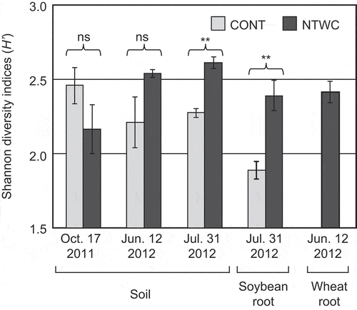 Figure 2. Shannon diversity indices based on the DGGE profiles of soil and root samples. Error bars represent standard errors of triplicate plots. Statistically significant differences were determined using Welch’s t-test and are indicated with **P < 0.01. ns, not significant; CONT, control; NTWC, no-till cultivation after winter wheat cover cropping.
