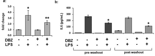 Figure 4. IL-6 expression is regulated by γ-secretase in adipocytes, and secretion can be persistently inhibited by γ-secretase inhibition. Intracellular expression of IL-6 was measured by ELISA from whole cell lysates from 3T3L1 adipocytes pretreated with 200 nM DBZ overnight and then treated with LPS for 6 hours. (n = 6/condition, error bars are ± SEM, * = p < 0.05 from the untreated sample). (b) The persistence of alteration in IL-6 secretion was determined in 3T3-L1 adipocytes treated with DBZ and LPS as previously examined (pre-washout), with the cells then washed 3x with PBS and placed in adipocyte maintenance medium for an additional 18 hours (post-washout); media collected at the 2 time points were analysed by ELISA for IL-6 (n = 6/condition, error bars are ± SEM, * = p < 0.05 from the untreated samples.)