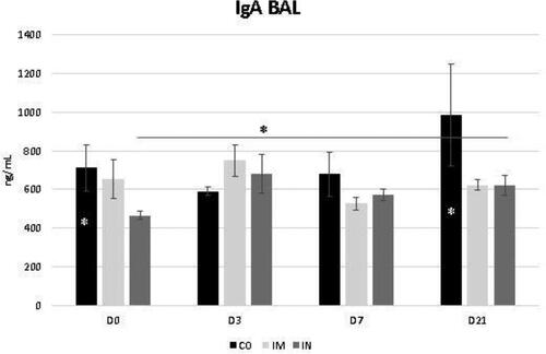 Figure 5. Presence of IgA in bronchoalveolar lavage fluid (BALF) in healthy Heifers vaccinated against the bovine respiratory complex (BRD) compared to controls. Means statistical significance was assessed by Tukey test. * p < 0.05, inner the graphics bars- treatment interaction, outside the graphics bars- time interaction. CO (group control); IM (group vaccinated against BRD intramuscularly); IN(group vaccinated against BRD intranasaly). (D0) is day 0 immediately before the application of the first dose of the vaccine; (D3, D7 and D21) are three, seven and 21 days respectively after the last dose of the vaccine.