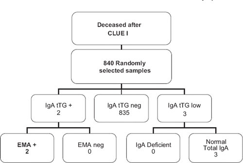 Figure 4. Results of the celiac screening in 840 participants that deceased after the CLUE I study.