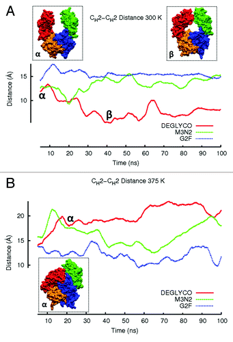 Figure 3. The average CH2-CH2 distance during simulations at (A) 300 K and (B) 375 K is plotted. Distances are averaged over a 5 ns window and plotted in the window center. Even though glycoform variant starting structures are the same, initial CH2-CH2 distances for the three glycoform variants are slightly different because the first data points reported are at 2.5 ns due to averaging. Figure insets (α) and (β) represent DEGLYCO structures along the trajectory. At 300 K, simulations began with DEGLYCO in an open conformation. As DEGLYCO simulations progressed, the CH2-CH2 distance decreased and the FcR binding site closed. At 375 K, the CH2-CH2 distance increased as CH2 domains collapsed onto CH3 domains. The FcR binding site was also closed in the collapsed structure.