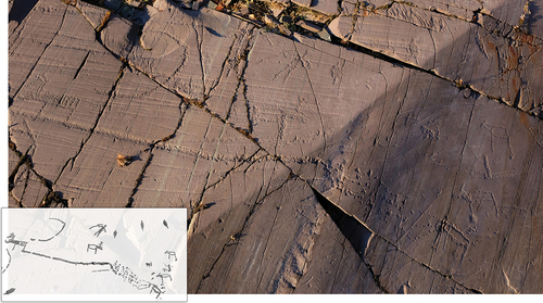 Fig. 6. An example of how cracks and other natural surface features are used to position the rock art: At the Kåfjord panel one can follow scattered reindeer tracks uphill from the right, forming a single trail on the flat top surface, ending in the hunting fence where hunters are waiting. (Photo/tracing: K. Tansem).