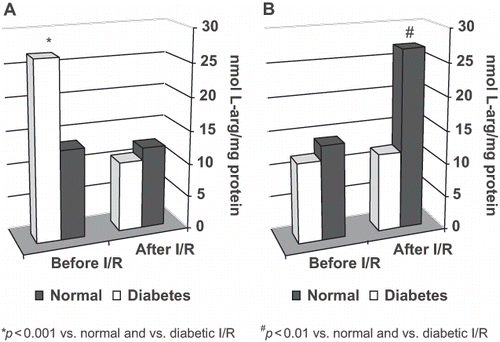 Figure 1. Glomerular and tubular L-arginine transport before and after I/R: A, glomerular L-arginine transport before and after I/R in normal and diabetic rats; B, tubular L-arginine transport before and after I/R in normal and diabetic rats.