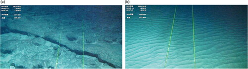 Figure 3. Representative photos of CRC (a) and sediments (b) in the survey lines. The photos are captured images from the ROV's forward high-resolution camera (approximately 1.5 m altitude and approximately 3 m width). The width of the two green laser beams is approximately 70 cm.