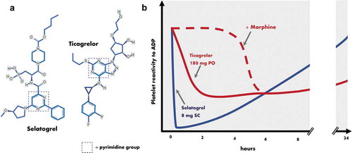 Figure 1. (a) Molecular structure of the novel reversibly binding P2Y12 antagonist selatogrel, shown for comparison alongside the oral P2Y12 antagonist ticagrelor. (b) Illustrative figure demonstrating the temporal effect profile of a single subcutaneous dose of selatogrel on platelet reactivity, compared with an oral loading dose of ticagrelor with (solid line) and without (dotted line) concurrent morphine exposure. ADP, adenosine diphosphate; SC, subcutaneous; PO, per orum.