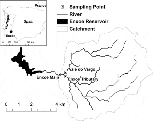 Fig. 1 The Enxoe catchment and location of the sampling sites.