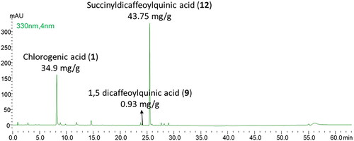 Figure 6. Chromatographic profile of the succinyl-dicaffeoylquinic enriched fraction (λ = 330 nm).
