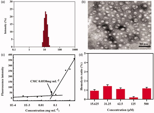 Figure 3. The particle size (a), electron microscope (b), CMC (c), and hemolysis rate (d) (n = 3) of PEG-CAR-C16 polymer micelles.