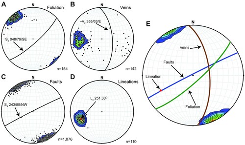 Figure 9. Lower hemisphere equal-area stereographic projections of structural orientations measured in the field at Crawford Knob. Parts A, B, and C plot poles to planar data (black dots), contours of the poles, and a great circle to depict the mean attitude of the planes (identified with label as a strike/dip/dip direction). A, predominant Alpine Schist foliation. B, deformed quartz-rich veins embedded in the Alpine Schist. C, brittle-ductile faults cross-cutting the Alpine Schist foliation and the veins. D, plots and contours calcite-quartz fibre lineations coating fault planes (black dots) and specifies the mean direction of these (red dot with labelled trend/plunge). E, plots the mean attitude of each of the above structures as a great circle or lineation together with the contoured poles of the measured faults (same as in C). Data plots and calculations were made using Stereonet 10 (Allmendinger Citation2020); contour intervals of 5 calculated using 1% of area; mean plane and line values from Bingham analysis; conical best fit half apical angle (CBFHA).