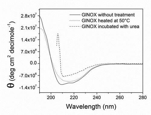 Figure 3. Circular dichroism spectra of GlNOX without treatment, heated at 50 °C for 30 min or incubated with urea 4 mol/L for 2 h.