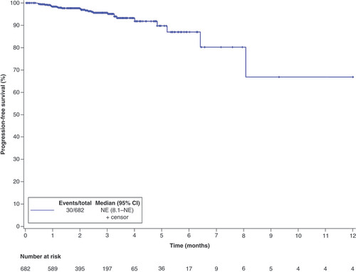 Figure 1. Progression-free survival in all evaluable patients.NE: Not estimable.