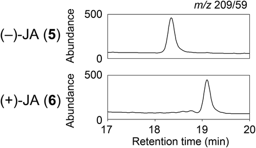 Figure 1. Chiral analysis of optically-active jasmonates.Each optically active jasmonate (200 pg) was subjected to combined liquid chromatography and electrospray ionization tandem mass spectrometry (LC-ESI-MS/MS) with a chiral column. The precursor-to-product transition was monitored for m/z 209/59.