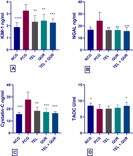 Figure 4 Effect of telmisartan and quercetin alone or in combination on (A) KIM-1, (B) NGAL, (C) Cystatin-C, and (D) TAOC; *p<0.05, **p<0.01, ***p<0.001, and ****p<0.0001, significantly different compared to the positive control group using one-way ANOVA followed by Tukey’s multiple comparisons test.