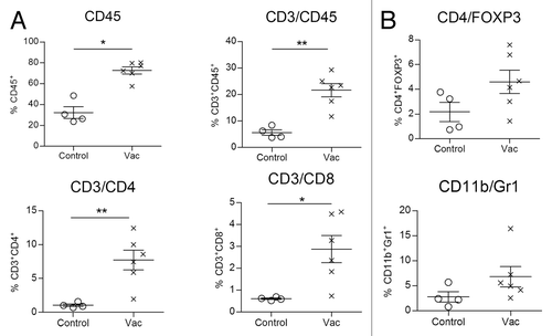 Figure 6. Vaccination of tumor bearing animals induces lung infiltration by adaptive immunity effector cells. Vac or PBS (control) treated C57BL/6 mice, inoculated with 3LL-D122 cells, were sacrificed 21 d after primary tumor removal. The frequency of effector and regulatory cells was measured in animal lungs by Flow Cytometry. (A) Individual numbers of CD45+, CD3+ CD45+, CD3+ CD4+, or CD3+ CD8+ cells in total lung infiltrating cells (percent) in vaccinated and control mice. (B) Frequency of regulatory populations, top: regulatory T cells (CD4/Foxp3) and bottom: myeloid derived suppressor cells (CD11b/Gr1).