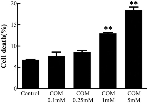 Figure 1. COM crystals-induced cell death assay. MDCK cells were treated with various doses of COM crystals for 48 h, and then subjected to Annexin V FITC/PI co-staining followed by flow cytometry analysis. The percentage of cell death = (the number of apoptotic and necrotic cells/the number of total cells) × 100%. Illustrated is a representative of at least three separate experiments and the data were represented as mean ± SD. **p < .01 versus control.