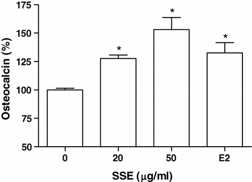 Figure 4. Effect of SSE on the osteocalcin secretion of MC3T3-E1 cells. After the cells reached confluence, the medium was replaced with phenol red-free α-MEM containing 5% CD-FBS in the presence or absence of SSE. Osteocalcin concentration was measured in the medium. E2 (17β-oestradiol, 0.1 µM) was used as positive control. Data shown are mean±SEM, expressed as a percentage of control. The control value for osteocalcin content was 0.11±0.002 ng per 106 cells. *P<0.05 vs. control.