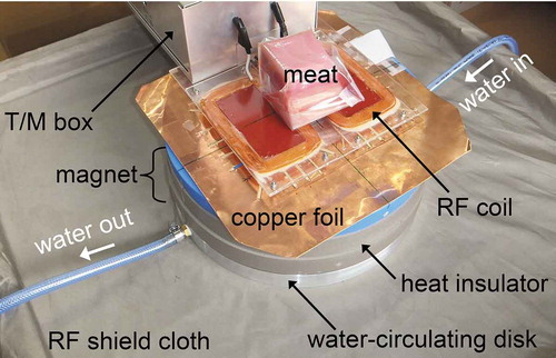 Figure 1. Photograph of a packed tuna meat sample on the planar RF coil. The system is placed on an RF shield cloth to cancel environmental RF noise. The diameter of the blue plastic cover of the magnet is 31 cm. A copper foil (300 × 300 × 0.2 mm3) with slits was inserted between the RF coil and the blue magnet cover to reduce the undesirable eddy current induced by the RF pulses. The side of the cylindrical magnet was covered with a heat insulator (polyurethane foam). The magnet was placed on an aluminum disk in which water with a constant temperature was circulated to reduce the undesirable temperature drift of the magnet.