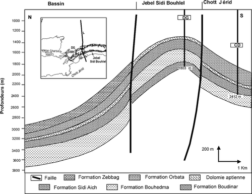 Fig. 15 Coupe géosismique dans le secteur Jebel Sidi Bouhlel correspondant aux profils sismiques L et L′.