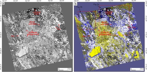 Figure 4. The final detection result of hydrocarbon seep. (a) Detection result after the CART method. (b) False color image of the detection result. The blue areas show oil and gas leakage.