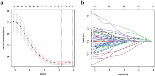 Figure 2. Construction of prognostic risk signature based on hypoxia-related lncRNAs. (a) LASSO coefficient profiles of the 79 lncRNAs in the training cohort. (b) Cross-validation for tuning the parameter selection in the LASSO analysis