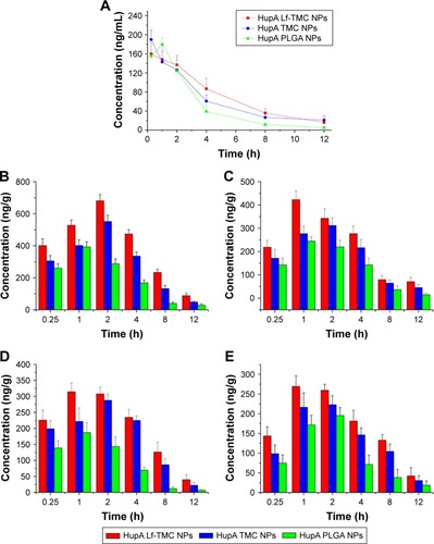 Figure 9 Brain distribution of Hup ANPs. (A) Blood concentration–time profiles of HupA following intranasal administration of HupA PLGA NPs, TMC NPs, and Lf-TMC NPs. Data represented the mean ± SD (n=3). Brain biodistribution of HupA following intranasal administration of HupA loaded NPs in the (B) olfactory bulb, (C) cerebrum with hippocampus removed, (D) cerebellum, and (E) hippocampus.Abbreviations: HupA, Huperzine-A; PLGA, polylactide-co-glycoside; Lf, lactoferrin; TMC, N-trimethylated chitosan; NPs, nanoparticles.