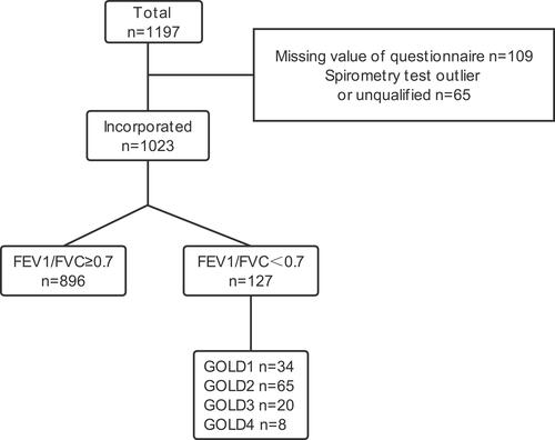Figure 1 The flow of the study and results of screening.Abbreviations: FEV1/FVC, forced expiratory volume in the first second/forced vital capacity; GOLD, Global Initiative for Chronic Obstructive Lung Disease.