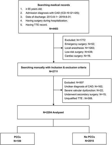 Figure 1 Flow chart of the patient enrollment and analysis.