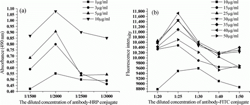 Figure 2.  Optimisation of coating antigen and labelled antibody dilution by a non-competitive checkerboard titrations method. (a) dc-ELISA; (b) dc-FIA.